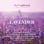 Lavender Touch - Image 2