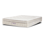 Visco Pure